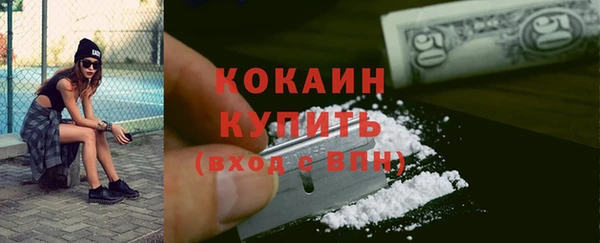 индика Беломорск