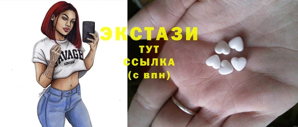 индика Беломорск