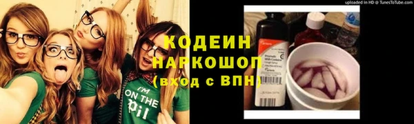 индика Беломорск
