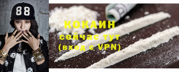 индика Беломорск